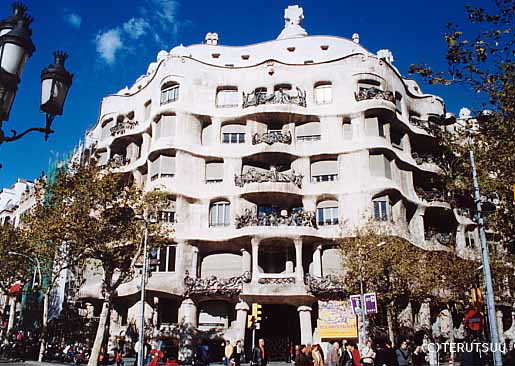 �o�D�����P �B�e �~���[�W�J���w���E�}���`���̒j�x�T���`�� �o���Z���i�A�J�T�E�~��