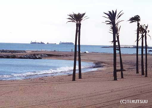 �o�D�����P �B�e �~���[�W�J���w���E�}���`���̒j�x�T���`�� �o���Z���i�A�o���Z���l�[�^�C�� �n���C