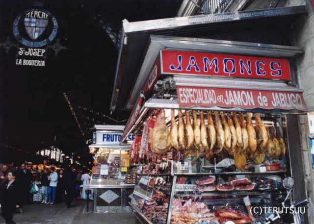 �o�D�����P �B�e �~���[�W�J���w���E�}���`���̒j�x�T���`�� �����P �o���Z���i�A���E�{�P���A�s��