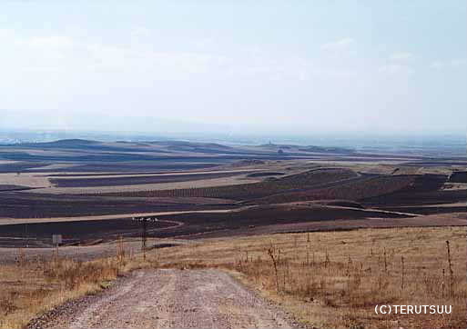 �o�D�����P �B�e �~���[�W�J���w���E�}���`���̒j�x�T���`�� �����P �J���|�E�f�E�N���v�^�[�i�̕��Ԃ��璭�߂�啽��