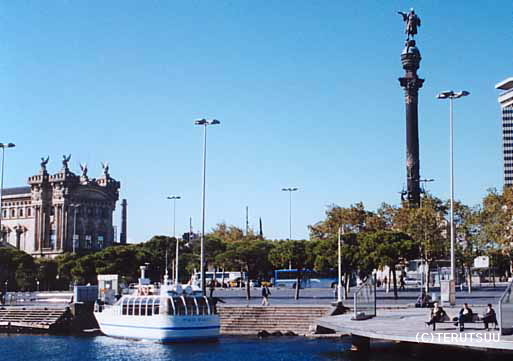 �o�D�����P �B�e �~���[�W�J���w���E�}���`���̒j�x�T���`�� �o���Z���i�` �R�����u�X��