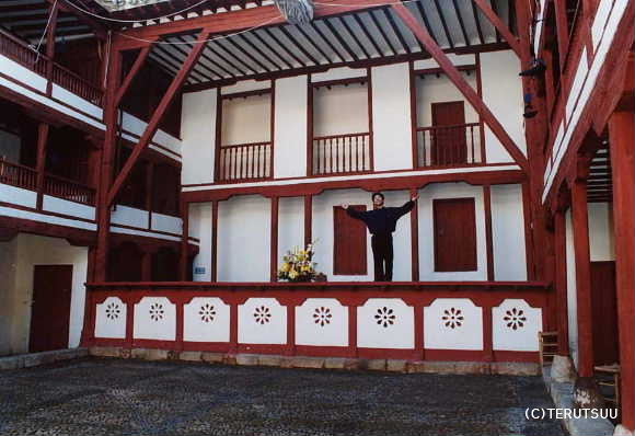 �o�D�����P �B�e �~���[�W�J���w���E�}���`���̒j�x�T���`���E�p���T �A���}�O���A��V����R�����E�f�E�R���f�B�A�X�̕���