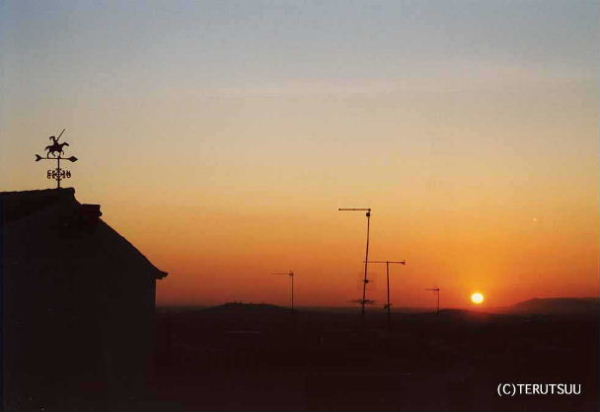 �o�D�����P �B�e �~���[�W�J���w���E�}���`���̒j�x�T���`���E�p���T �J���|�E�f�E�N���v�^�[�i�̗[���