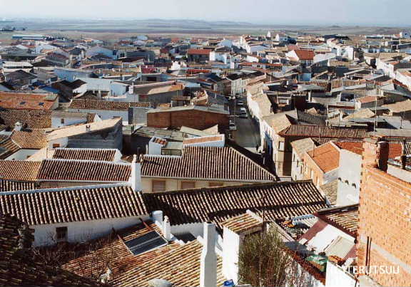 �o�D�����P �B�e �~���[�W�J���w���E�}���`���̒j�x�T���`���E�p���T �J���|�E�f�E�N���v�^�[�i�̊X����