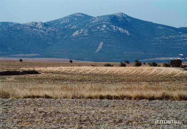 �o�D�����P �B�e �~���[�W�J���w���E�}���`���̒j�x�T���`���E�p���T ��n�ƎR