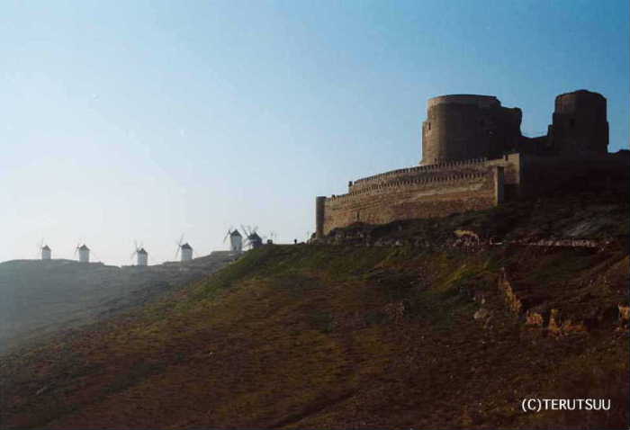 �o�D�����P �B�e �~���[�W�J���w���E�}���`���̒j�x�T���`���E�p���T �R���X�G�O���̕��ԌQ