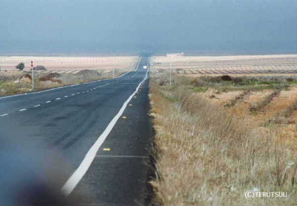 �o�D�����P �B�e �~���[�W�J���w���E�}���`���̒j�x�T���`�� �R���X�G�O������g���h�w