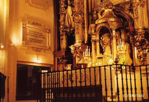 �o�D�����P �B�e �~���[�W�J���w���E�}���`���̒j�x�T���`���E�p���T �Z���o���e�X������C���@