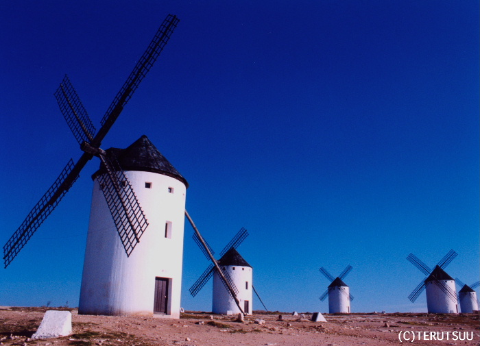 �o�D�����P�B�e �~���[�W�J���w���E�}���`���̒j�x�T���`���E�p���T �J���|�E�f�E�N���v�^�[�i�̕���