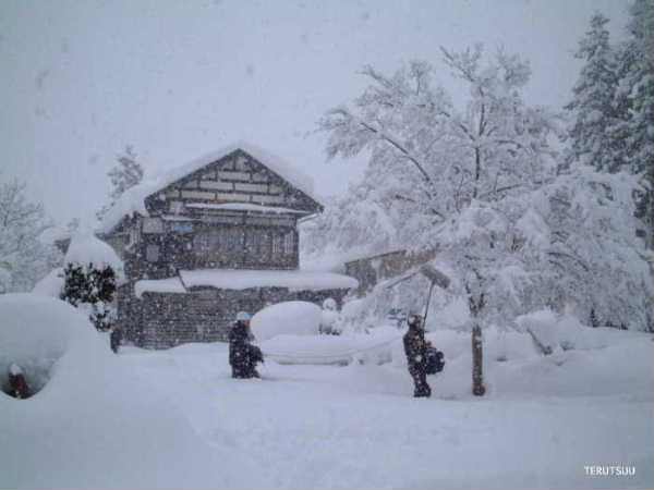 �o�D�����P NHK������|�P�b�g�� �֓��΋g �����R ���׏���