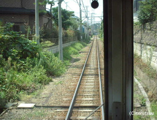 �o�D�����P �B�e �_�ސ쌧���q�s �]�m���d�S �]�m�d