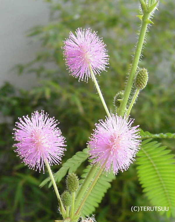 �o�D�����P �B�e ��������