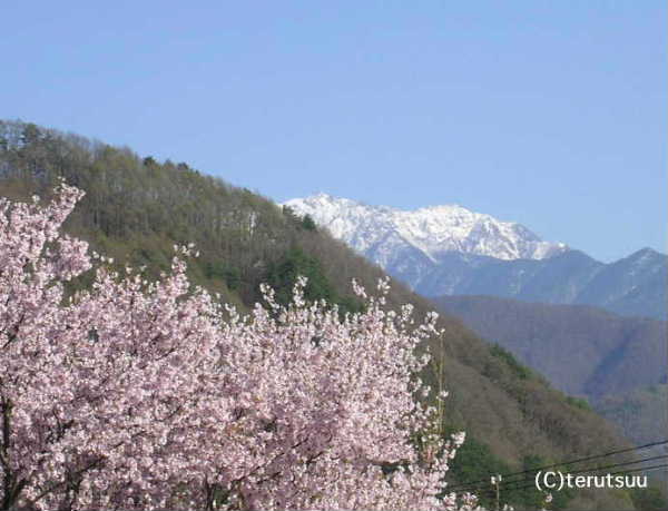 �o�D�����P ������R�q�K���U�N�� ��A���v�X��䃖�x