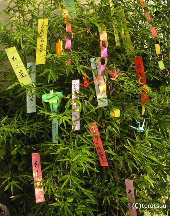 �o�D�����P �|��Ԃ̎��[