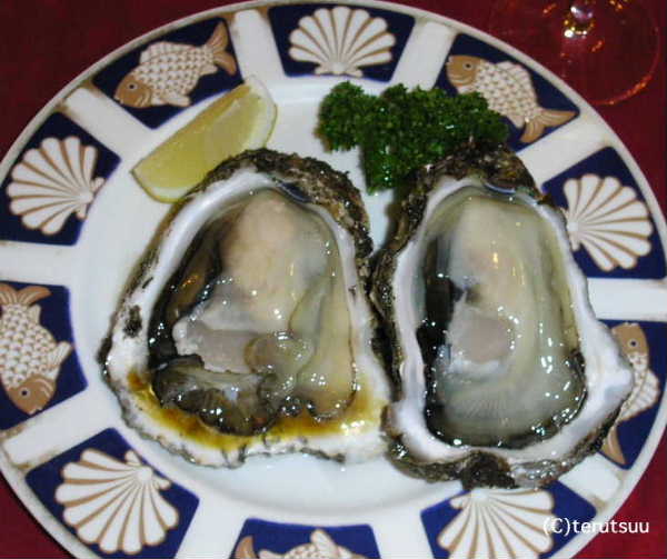 �o�D�����P �R�`����c�s ���{�C�̊�K�L