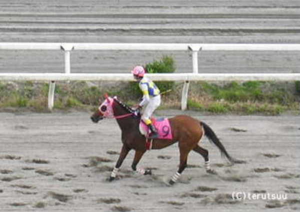 �o�D�����P �X�쎞�v�ēw�n���E�����x���m���P �n���E�����D��