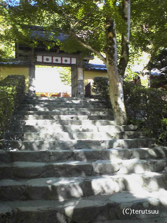 �o�D�����P ���ˉ��� ���s�匴����@