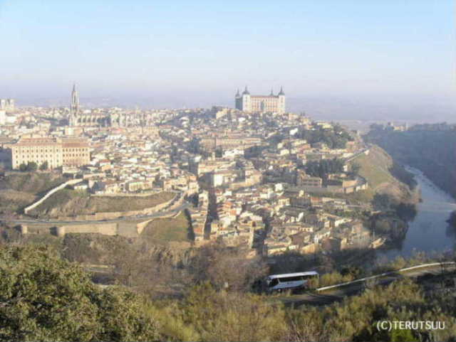 �o�D�����P �B�e �~���[�W�J���w���E�}���`���̒j�x�T���`�� �g���h�S�i