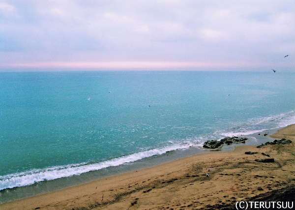 �o�D�����P �B�e �~���[�W�J���w���E�}���`���̒j�x�T���`�� �o���Z���i�A�o���Z���l�[�^�C�� �n���C