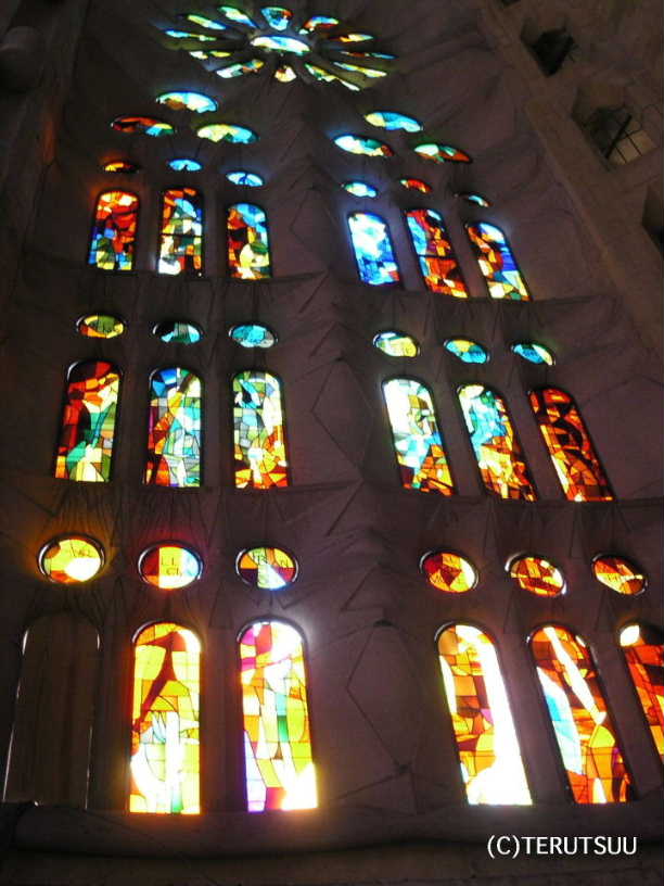 �o�D�����P �B�e �~���[�W�J���w���E�}���`���̒j�x�T���`�� �o���Z���i�A�T�O���_�E�t�@�~���A�̃X�e���h�O���X