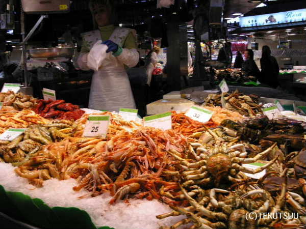 �o�D�����P �B�e �~���[�W�J���w���E�}���`���̒j�x�T���`���E�p���T �o���Z���i�A�{�P���A�s��