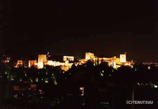 �o�D�����P �B�e �~���[�W�J���w���E�}���`���̒j�x�T���`�� �����P �O���i�_ �A���n���u���{�a