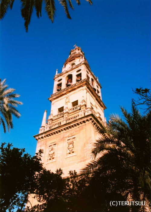 �o�D�����P �B�e �~���[�W�J���w���E�}���`���̒j�x�T���`�� �����P �R���h�o�A���X�L�[�^