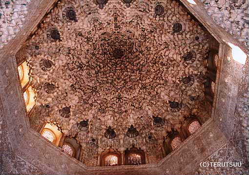 �o�D�����P �B�e �~���[�W�J���w���E�}���`���̒j�x�T���`���E�p���T �A���n���u���{�a