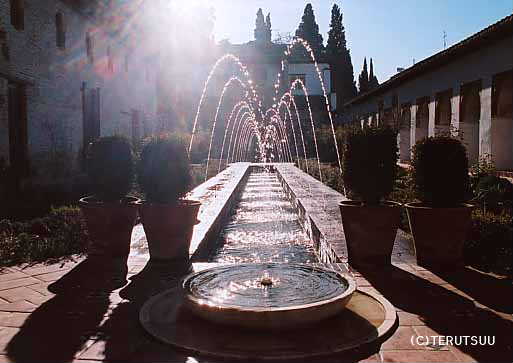 �o�D�����P �B�e �~���[�W�J���w���E�}���`���̒j�x�T���`�� �����P �O���i�_�A�A���n���u���{�a �w�l�����[�t�F