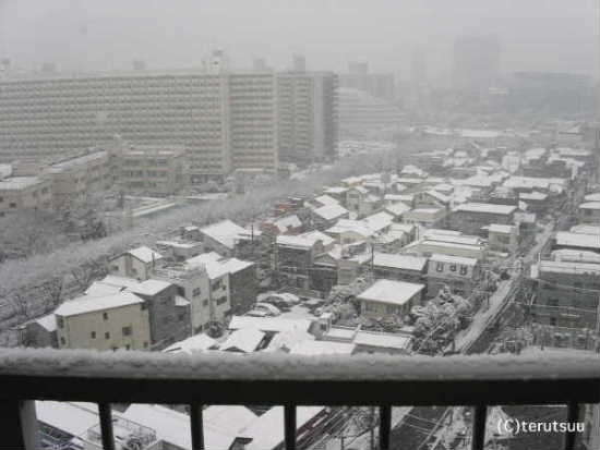 �o�D�����P �����̐�