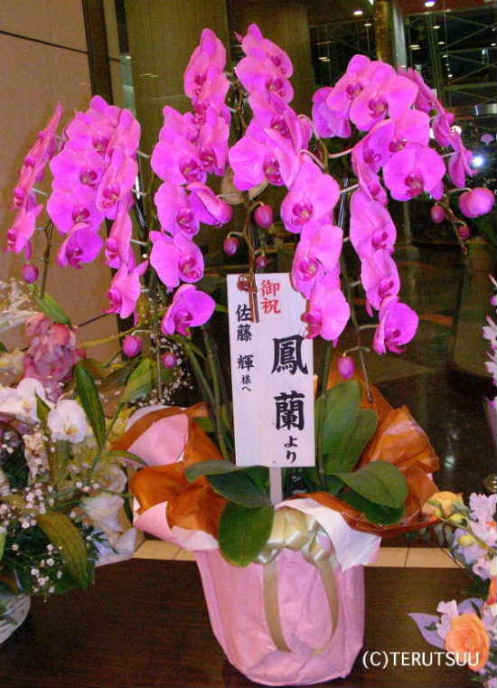 �o�D�����P �~���[�W�J���uOH�_�f�B�[!�v