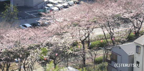 �o�D�����P �B�e ������