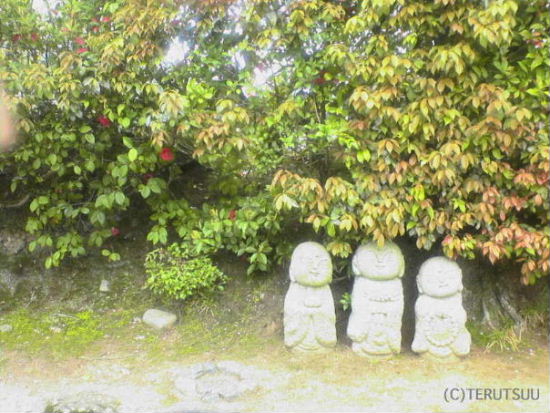 �o�D�����P �B�e ���ˉ��� ���s���R �H�T�̂��n������