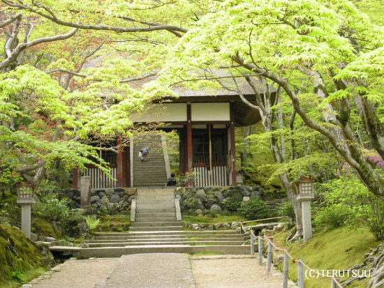 �o�D�����P�B�e ���s����� ���q ������