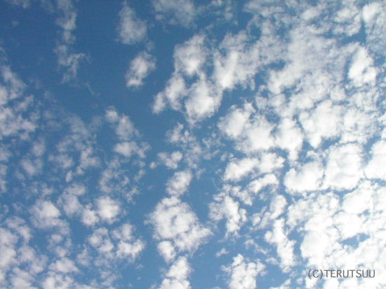 �o�D�����P �B�e ���� �H�̋�