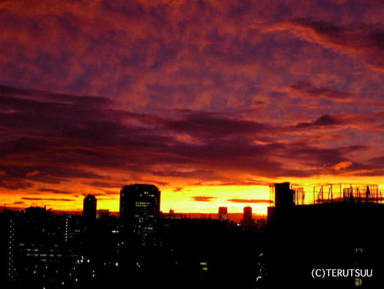 �o�D�����P �B�e �����A�䕗��ߗ[�Ă�