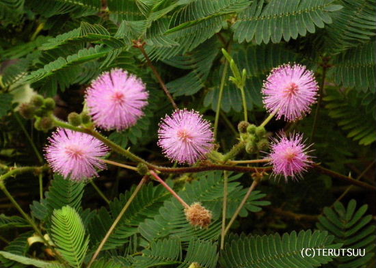 �o�D�����P �B�e ��������