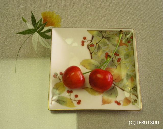 �o�D�����P �R�`���V���s�̃T�N�����{������