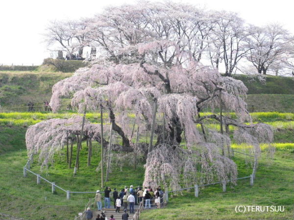 �o�D�����P �B�e �������O�t�� ���J�̑��