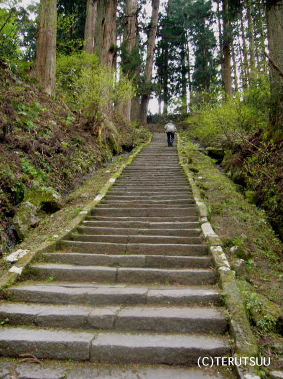 �o�D�����P �R�`�� �o�H�O�R �H���R ������ �ΊK�i