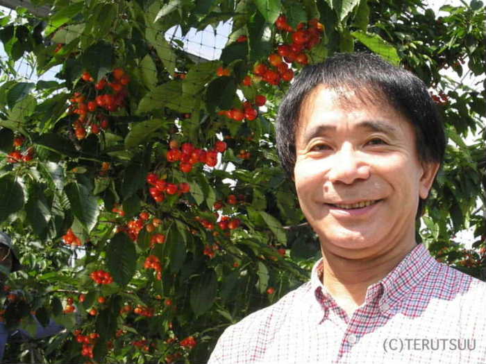 �o�D�����P �R�`�s�̃T�N�����{��