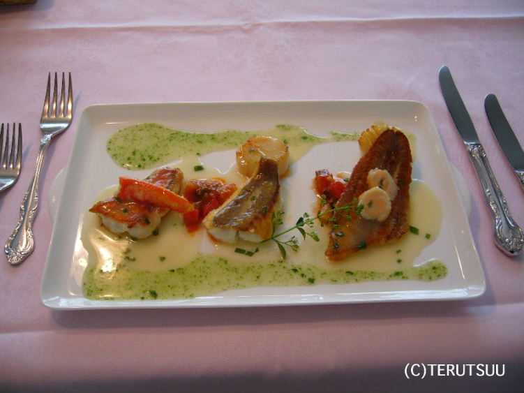 �o�D�����P �B�e �R�`�s ���b�V���E�T�g�E