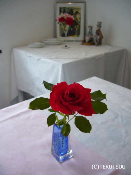 �o�D�����P �B�e �R�`�s ���b�V���E�T�g�E