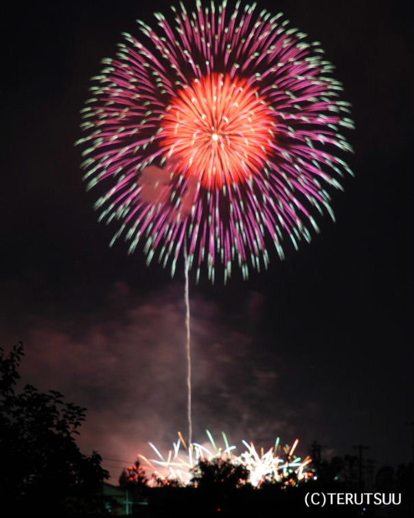 �o�D�����P �B�e �R�`�s�̉ԉΑ��