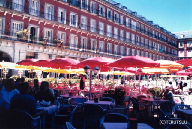 �o�D�����P �B�e �~���[�W�J���w���E�}���`���̒j�x�T���`�� �X�y�C���A�}�h���b�h �}���[���L��