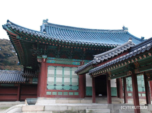 �o�D�����P �`�����O���̐��� �J���E�h�b�N �\�E�������{ �X���a