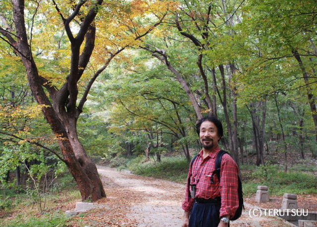 �o�D�����P �`�����O���̐��� �J���E�h�b�N �\�E�������{ �鉑