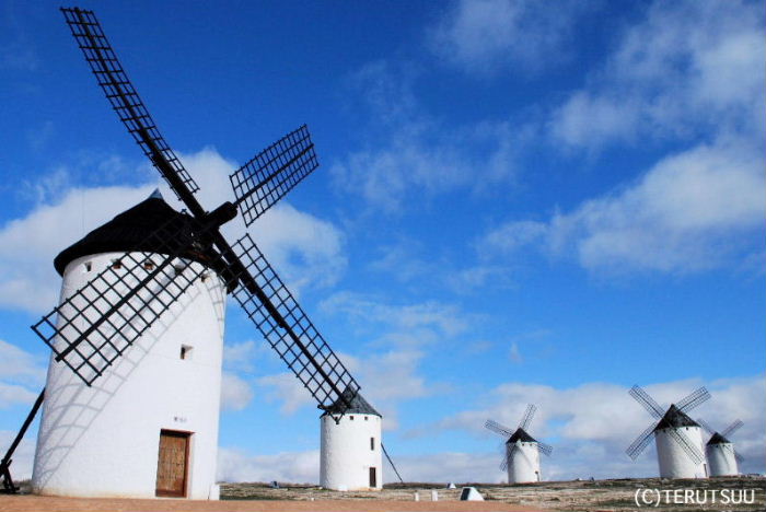 �o�D�����P �B�e �~���[�W�J�� ���E�}���`���̒j �T���`�� �X�y�C���A�J���|�E�f�E�N���v�^�[�i�̕��ԌQ