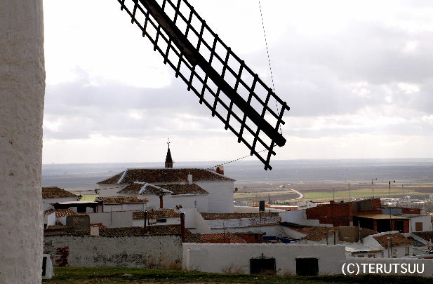 �o�D�����P �B�e �~���[�W�J�� ���E�}���`���̒j �T���`�� �J���|�E�f�E�N���v�^�[�i�̕���