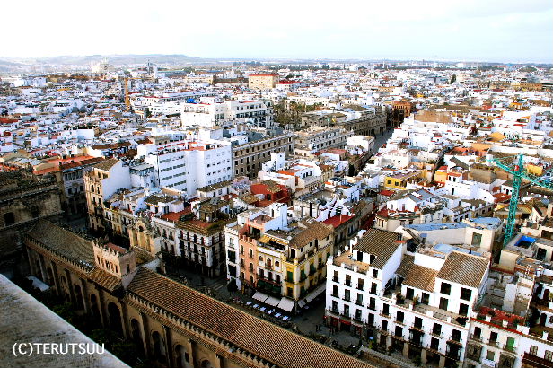 �o�D�����P �B�e �~���[�W�J�� ���E�}���`���̒j �T���`�� �q�����_�̓����璭�߂�Z�r�[�W���̊X����